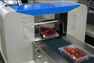 机遇与挑战并存 探析当前食品包装机械市场前景