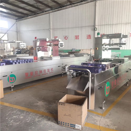 口罩连续式包装机 高效生产线的核心装备与诸城广盈机械的专业实践