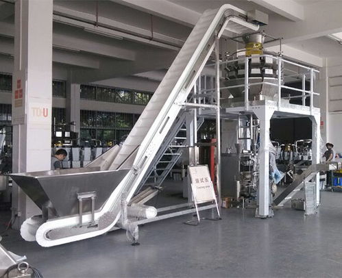 安徽天之业 以智能包装机械赋能速冻产业，助力青岛企业高效节省人力